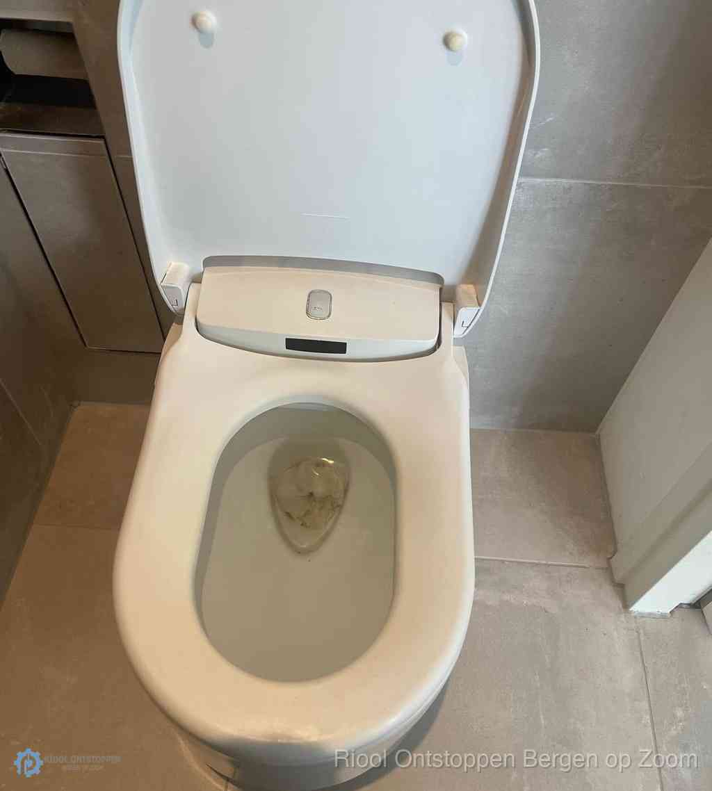 Toilet Ontstoppen Bergen op Zoom